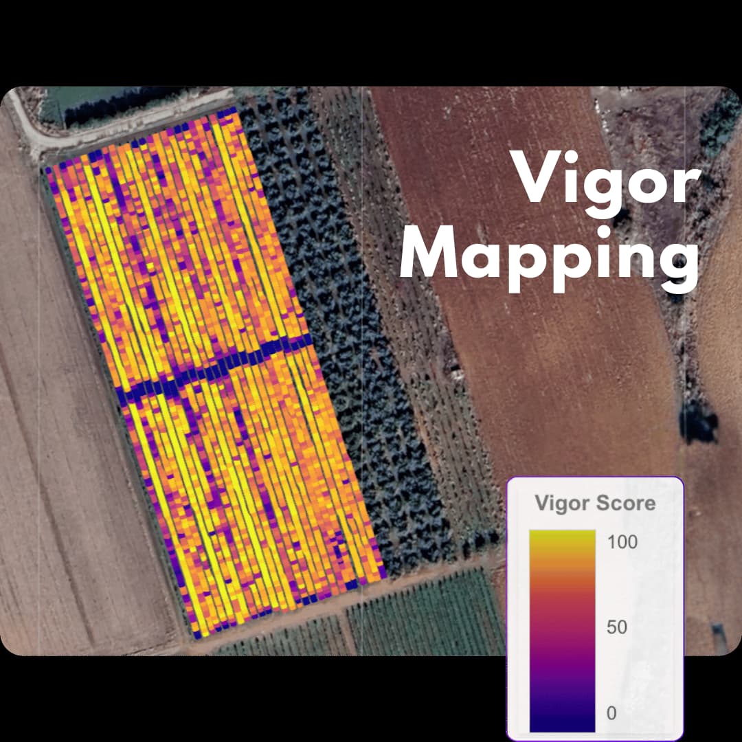 Vigor Mapping: a per-tree orchard map with a vigor score ranging from 0 to 100